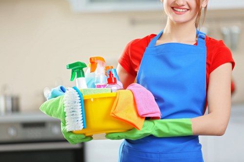 Hook carpet cleaners team introducing professional carpet care