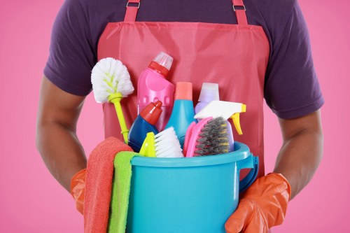 Carpet cleaning equipment prepared for a professional service