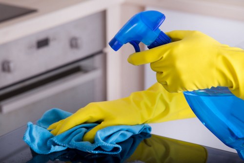 Pet stain odour removal in Hook for carpets