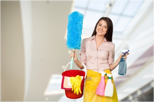SSL encrypted online payment for carpet cleaning