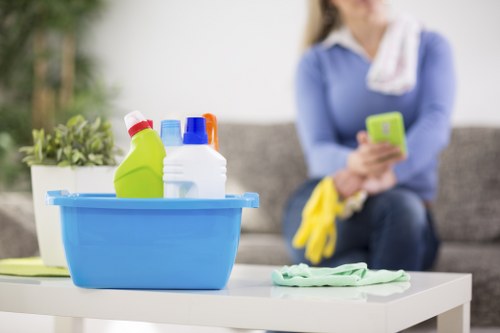 Hook Carpet Cleaners technician delivering safe professional carpet cleaning