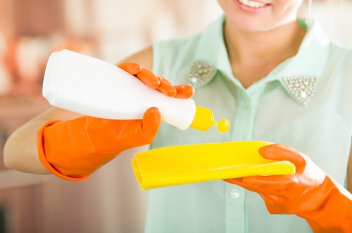 Deep rug cleaning equipment used for a fresh and hygienic finish in Hook