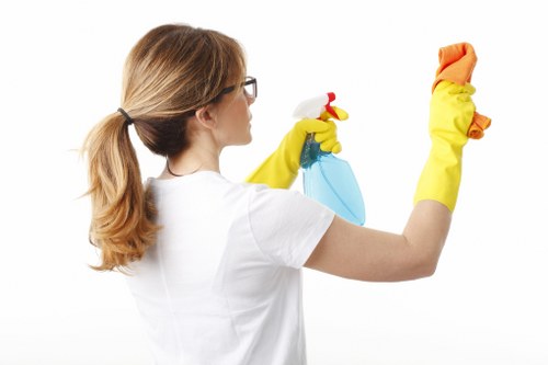 Mattress hygiene and allergen reduction service in Hook