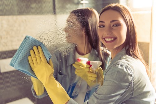 Steam carpet cleaning service improving indoor hygiene in Hook