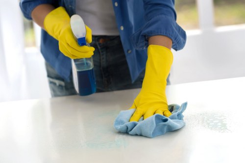 Carpet and rug stain treatment in Hook