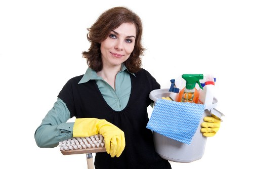 Professional pet odour cleaning for upholstery in Hook