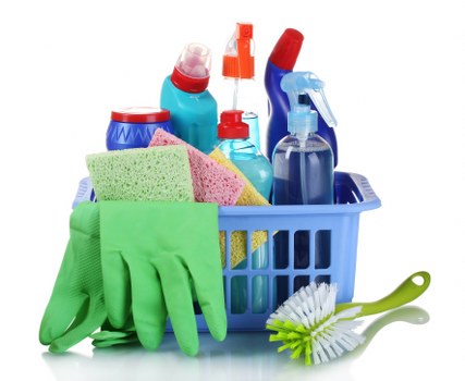 Free quote policy information for carpet cleaning